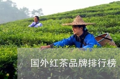 国外红茶品牌排行榜/2023041536180