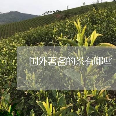 国外著名的茶有哪些/2023041547379