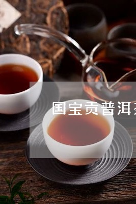 国宝贡普洱茶特点/2023031693715