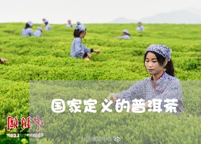 国家定义的普洱茶/2023041172605