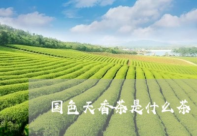 国色天香茶是什么茶/2023041601728