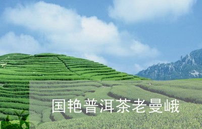 国艳普洱茶老曼峨/2023033109581