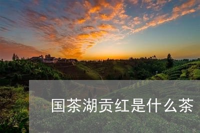 国茶湖贡红是什么茶/2023031927370