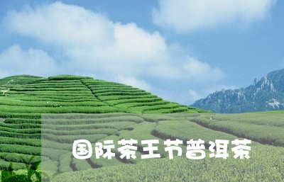 国际茶王节普洱茶/2023041154137