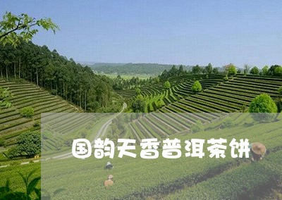 国韵天香普洱茶饼/2023033056149