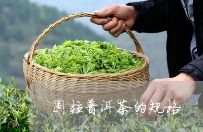 圆柱普洱茶的规格/2023040961826