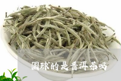 圆球的是普洱茶吗/2023031671925