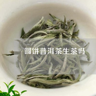 圆饼普洱茶生茶吗/2023031652618