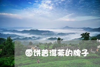 圆饼普洱茶的牌子/2023041031039