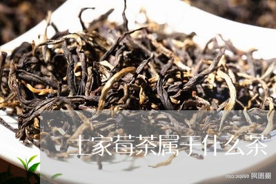 土家莓茶属于什么茶/2023041504716