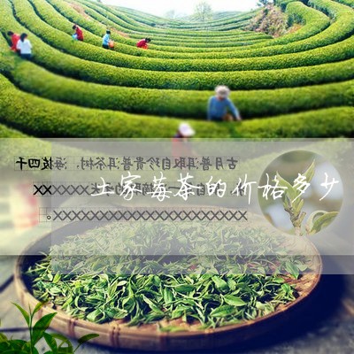 土家莓茶的价格多少/2023041701837