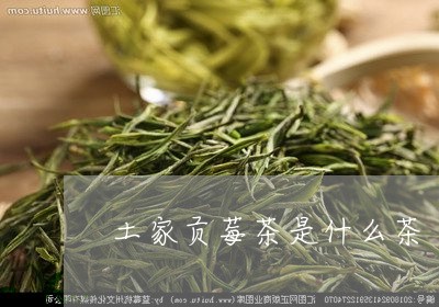 土家贡莓茶是什么茶/2023031953816