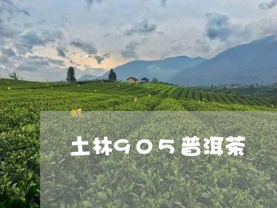 土林905普洱茶/2023031619383