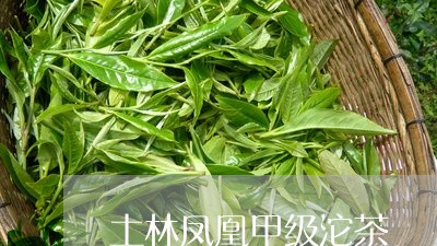 土林凤凰甲级沱茶/2023032430703