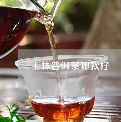 土林普洱茶哪款好/2023033113830