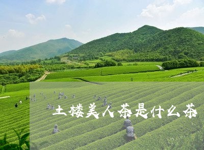 土楼美人茶是什么茶/2023041503039