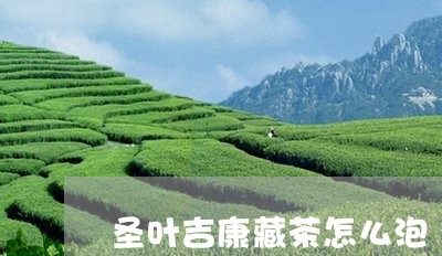 圣叶吉康藏茶怎么泡/2023041674826