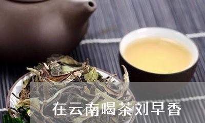 在云南喝茶刘早香/2023032508272