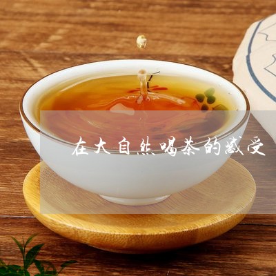 在大自然喝茶的感受/2023032148473