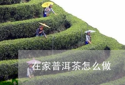 在家普洱茶怎么做/2023041340383