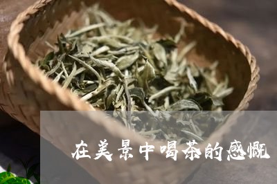 在美景中喝茶的感慨/2023032196937