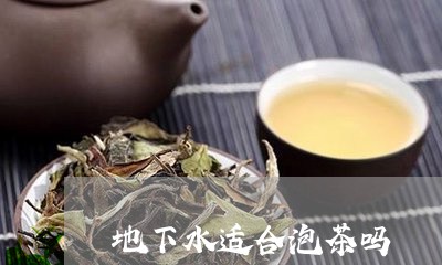 地下水适合泡茶吗/2023032506957