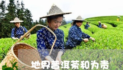 地界普洱茶和为贵/2023031750594