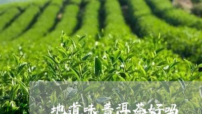 地道味普洱茶好吗/2023041318378