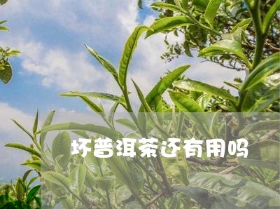 坏普洱茶还有用吗/2023033120503