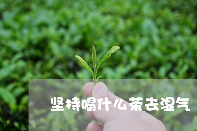 坚持喝什么茶去湿气/2023041569292