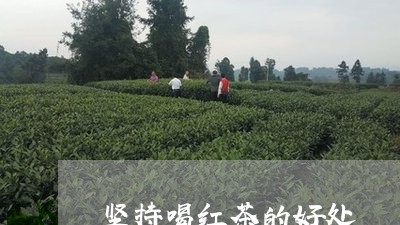 坚持喝红茶的好处/2023032537282