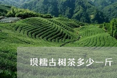 坝糯古树茶多少一斤/2023032213804