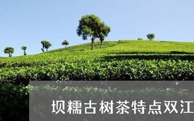 坝糯古树茶特点双江/2023032270692