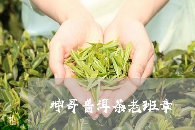 坤哥普洱茶老班章/2023041267147