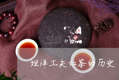 坦洋工夫红茶的历史/2023041766081