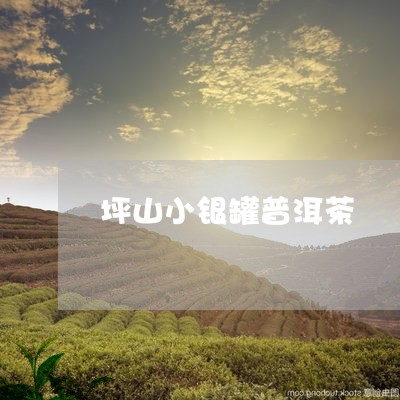 坪山小银罐普洱茶/2023040183797