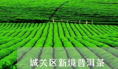 城关区新境普洱茶/2023040111815