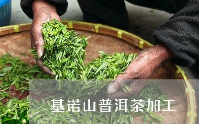 基诺山普洱茶加工/2023041055338