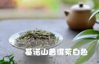 基诺山普洱茶白色/2023031767371