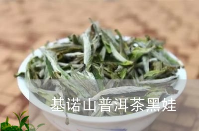 基诺山普洱茶黑娃/2023031674724