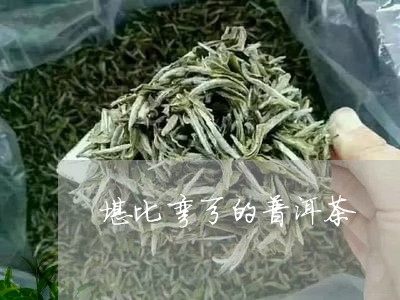 堪比弯弓的普洱茶/2023031662695