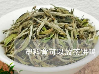 塑料盒可以放茶饼吗/2023041666148