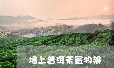 墙上普洱茶置物架/2023041004825