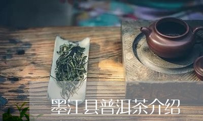 墨江县普洱茶介绍/2023041270614