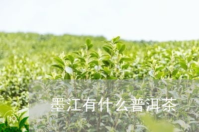 墨江有什么普洱茶/2023041061604