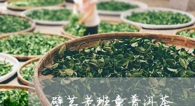 壁茗老班章普洱茶/2023041247581