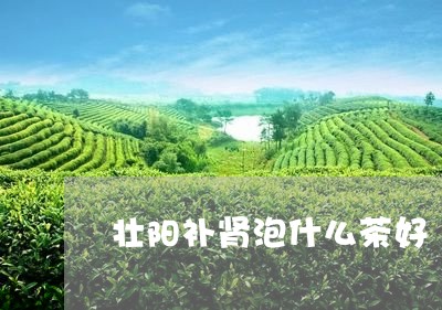 壮阳补肾泡什么茶好/2023041577258