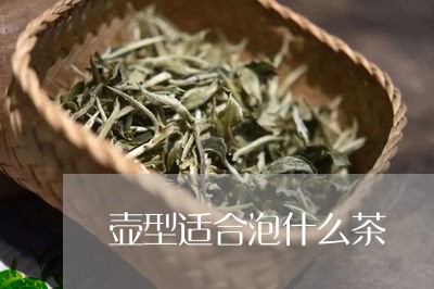 壶型适合泡什么茶/2023032335927