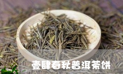 壹肆春秋普洱茶饼/2023031743915