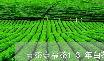 壹茶壹福茶13年白茶茶饼/2023033162858